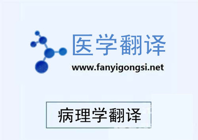 深圳溝通翻譯專業(yè)阿拉伯語翻譯-深圳市溝通翻譯提供深圳溝通翻譯專業(yè)阿拉伯語翻譯的相關(guān)介紹、產(chǎn)品、服務(wù)、圖片、價格語言翻譯、信息咨詢、電子軟件開發(fā)、同傳設(shè)備租賃、少兒英語培訓(xùn)