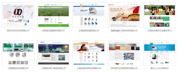 網(wǎng)站二次開發(fā)