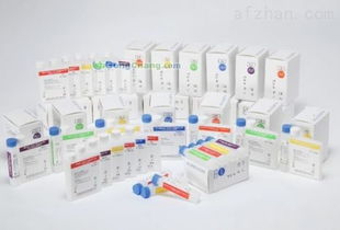 丁二酸酐在深圳網站開發中的創新應用