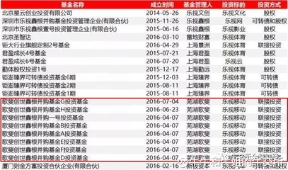 被樂視辜負的資本盛宴 大佬、明星與近百機構(gòu)的未解困局